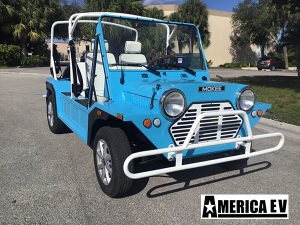 affordable golf cart rental, golf cart rent anaheim