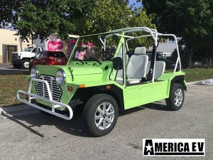 affordable golf cart rental, golf cart rent anaheim