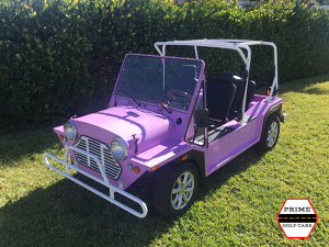 affordable golf cart rental, golf cart rent anaheim