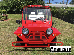 affordable golf cart rental, golf cart rent anaheim