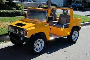affordable golf cart rental, golf cart rent anaheim